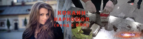 PSILOCYBIN Лихославль