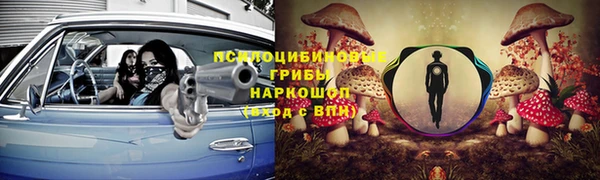 мяу мяу мука Алзамай