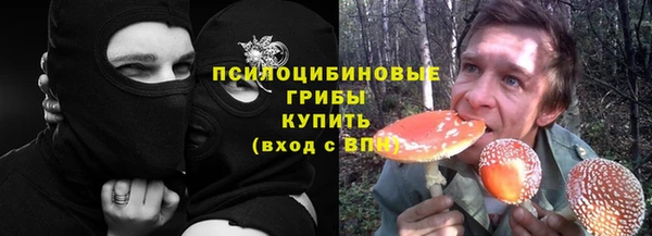 мяу мяу мука Алзамай